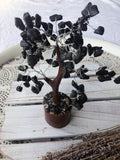 Black Tourmaline Crystal Gemstone Tree Brown Trunk Medium | Crystal Karma by Trina
