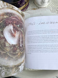 2023 Gratitude Diary  | Crystal Karma by Trina