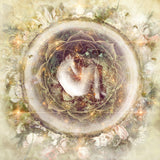 2023 Gratitude Diary  | Crystal Karma by Trina