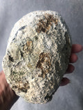 Abalone Shell / Paua Shell - Large | Crystal Karma by Trina