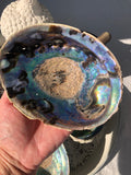 Abalone Shell / Paua Shell - Large | Crystal Karma by Trina