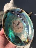 Abalone Shell / Paua Shell - Large | Crystal Karma by Trina