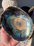 Abalone Shell / Paua Shell - Large - Crystal Karma By Trina