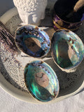 Abalone Shell / Paua Shell - Large | Crystal Karma by Trina