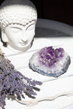 Amethyst Cluster #64 - Crystal Karma By Trina