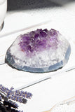 Amethyst Cluster #64 - Crystal Karma By Trina