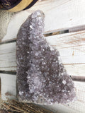 Amethyst Standing Cluster #78