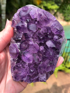 Amethyst Cluster Polished Edge #69 | Crystal Karma by Trina