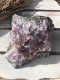 Amethyst Cluster #7 | Crystal Karma by Trina 