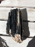 Black Tourmaline With Mica Rough XL #1 - Crystal Karma By Trina