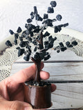 Black Tourmaline Crystal Gemstone Tree Brown Trunk Medium | Crystal Karma by Trina