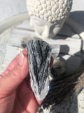 Black Tourmaline in Quartz - Large | Crystal Karma by Trina
