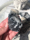 Black Tourmaline in Quartz - Large | Crystal Karma by Trina