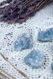 Celestite Clusters - Small | Crystal Karma by Trina