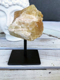 Citrine Rough on Black Metal Stand #2 | Crystal Karma by Trina