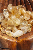 Citrine Tumbles XS | Crystal Karma by Trina