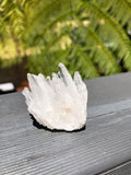 Clear Quartz Cluster Mini - Crystal Karma by Trina