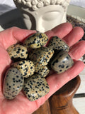 Dalmation Jasper Tumbles | Crystal Karma by Trina