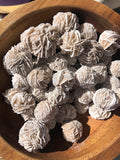 Desert Rose Selenite Clusters | Crystal Karma by Trina 