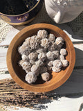 Desert Rose Selenite Clusters | Crystal Karma by Trina 