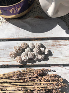Desert Rose Selenite Clusters | Crystal Karma by Trina 