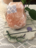 Himalayan Salt Lamp Timber base 2-3kg - Crystal Karma By Trina
