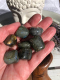 Labradorite Tumbles Small | Crystal Karma by Trina