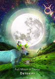 Moon Lovers Gift Set Moonology Manifestation Oracle | Crystal Karma by Trina