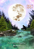 Moon Lovers Gift Set Moonology Manifestation Oracle | Crystal Karma by Trina