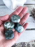 Moss Agate Tumbles Large | Crystal Karma by Trina