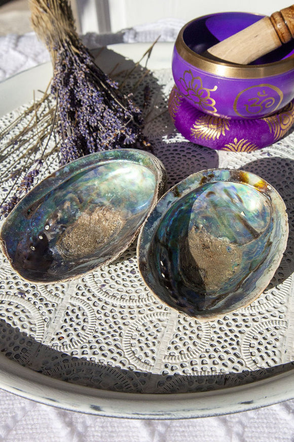 Abalone Shell / Paua Shell - Large | Crystal Karma by Trina