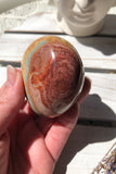 Polychrome Jasper Freeform #4 | Crystal Karma by Trina