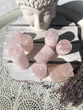Rose Quartz Cores Large |Crystal Karma by Trina
