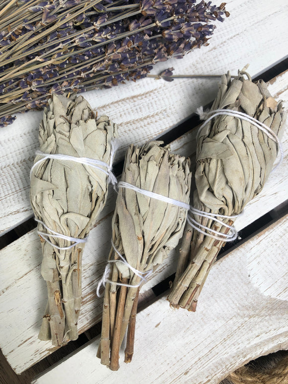 White Sage Smudge Stick - Torch | Crystal Karma by Trina