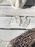 Selenite Shards | Crystal Karma by Trina