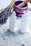 Selenite Unicorn Standing Spiral | Crystal Karma by Trina