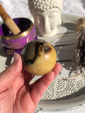 Septarian Sphere #4 | Crystal Karma by Trina