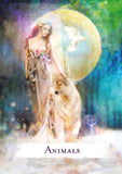 Spellcasting Oracle Cards: A 48-Card Deck and Guidebook | Crystal Karma By Trina