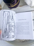The Witch's Broom | Crystal Karma by Trina